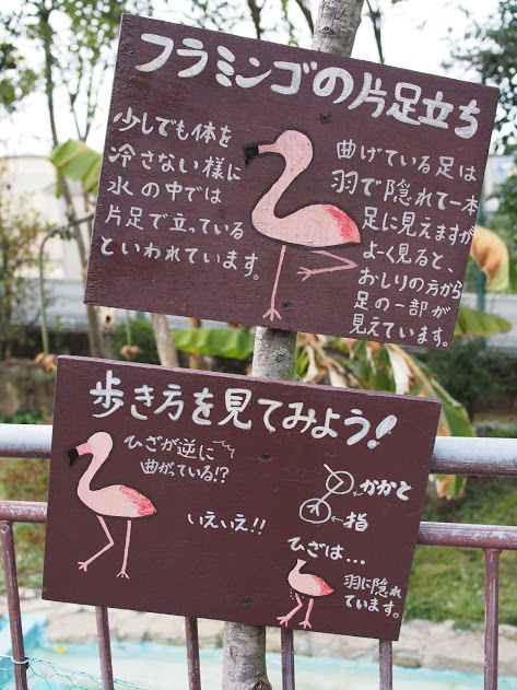 f0201157_23565531.jpg