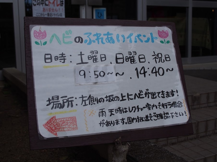 f0201157_23573673.jpg