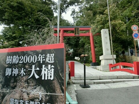 a0331562_17124430.jpg