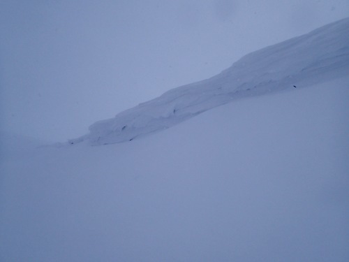 c0321967_12321486.jpeg
