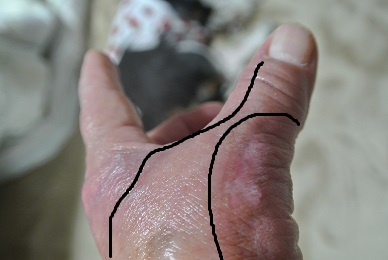 e0121583_2053192.jpg