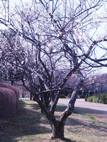 f0357183_18300526.jpg