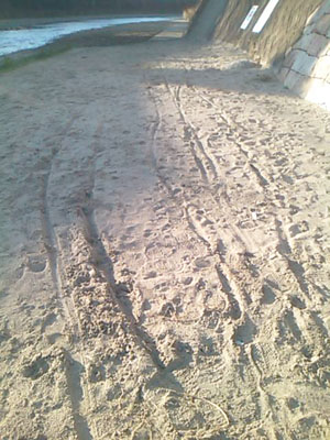 e0204795_6224812.jpg