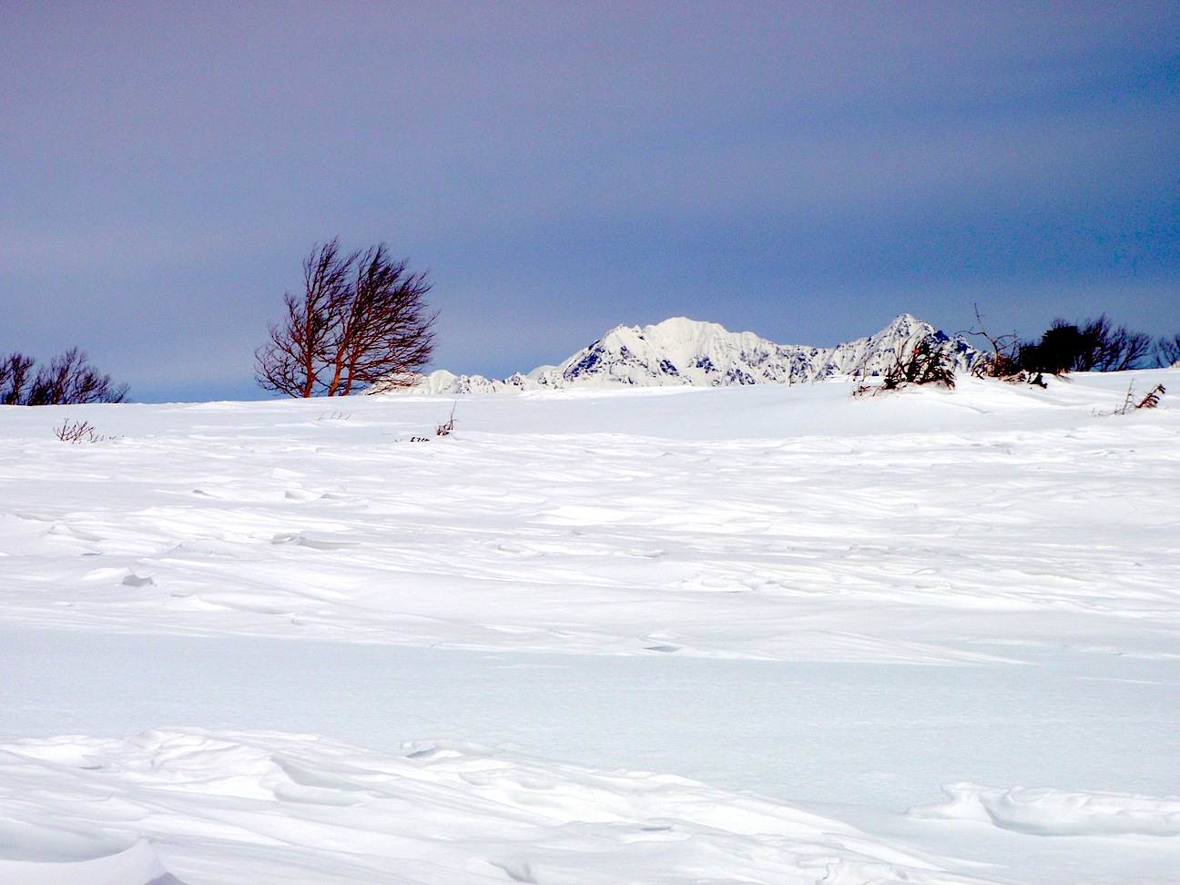 c0078410_4592821.jpg