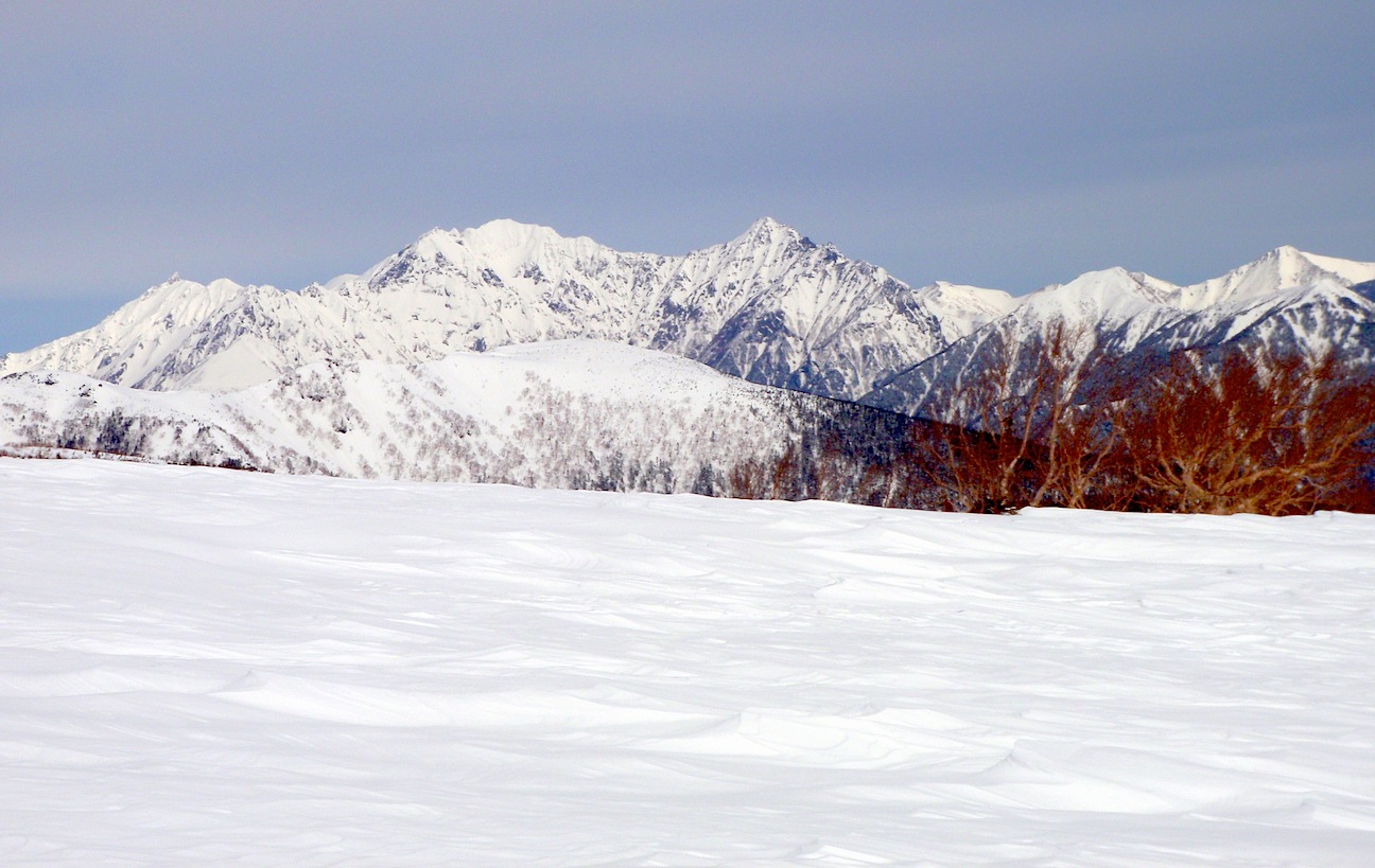 c0078410_50093.jpg