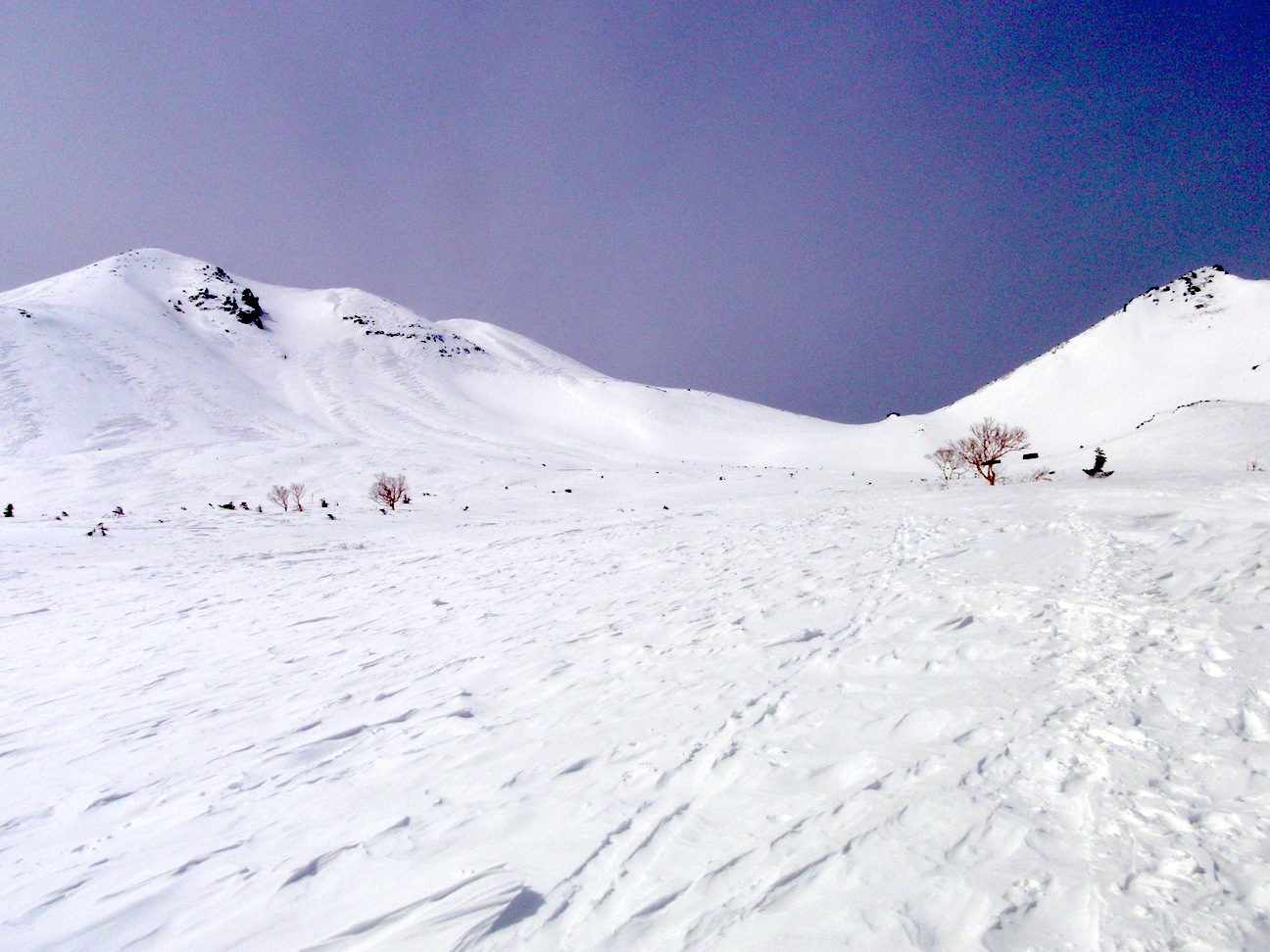c0078410_504699.jpg