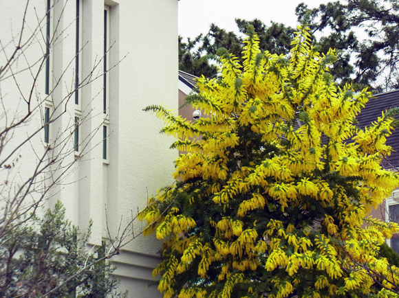 e0083517_23101068.jpg