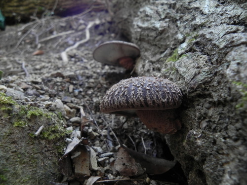 e0352220_23274566.jpg