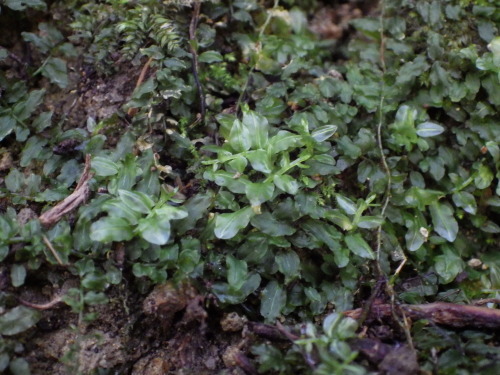 e0352220_23372739.jpg