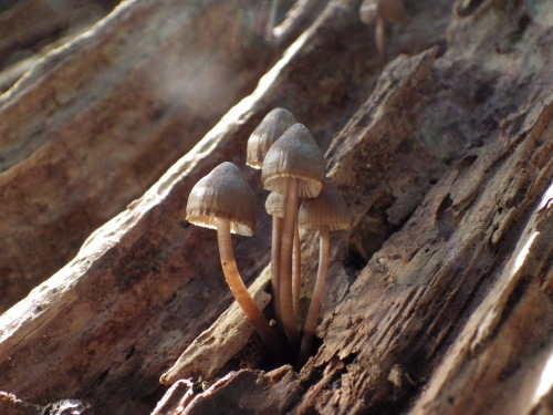 e0352220_23385000.jpg