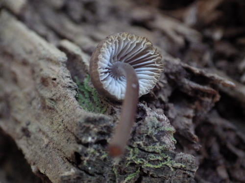 e0352220_23402859.jpg