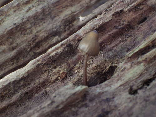 e0352220_23415063.jpg