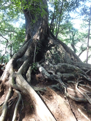 e0312121_2353192.gif