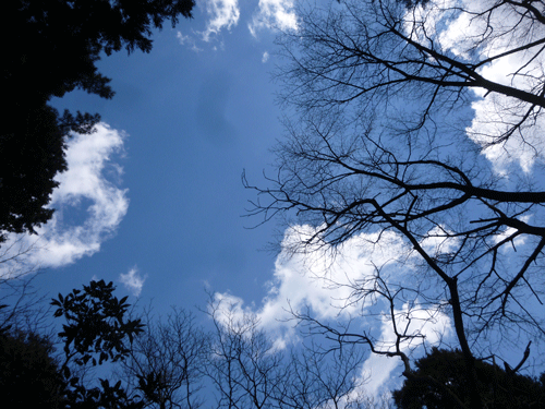 e0312121_23543961.gif