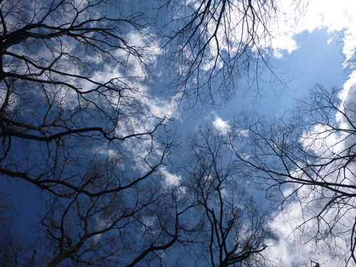 e0312121_23544939.gif