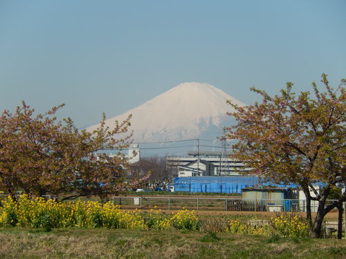 b0137932_23481519.jpg