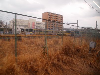 f0328134_21361316.jpg