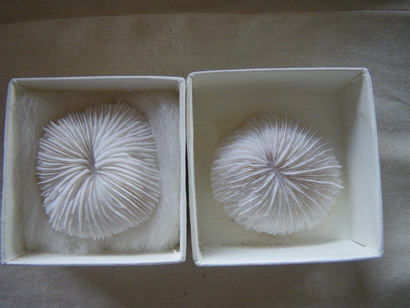 c0033636_23262325.jpg