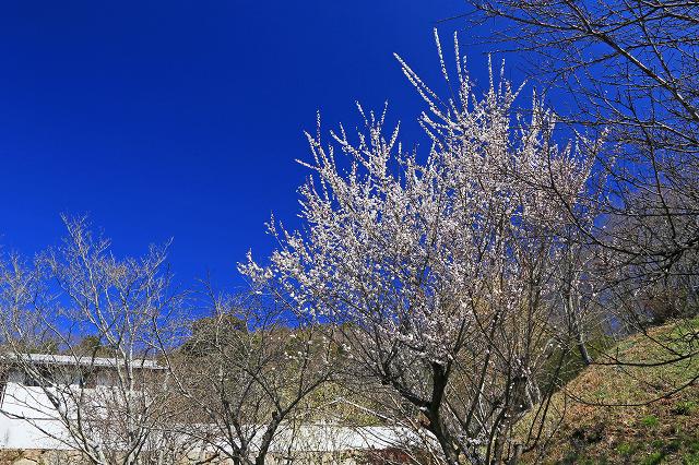 a0242438_2041423.jpg