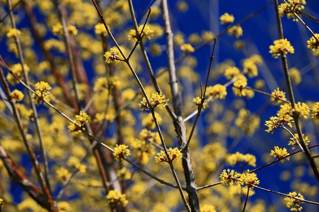 a0242438_2045199.jpg
