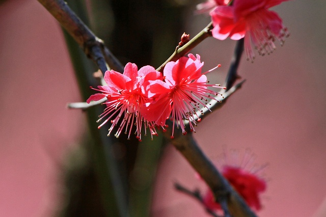 a0242438_2055119.jpg