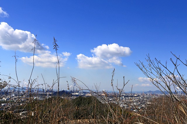 a0242438_205628.jpg