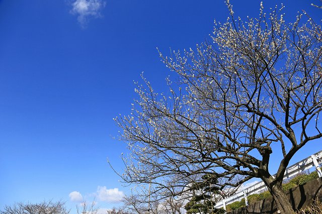 a0242438_206413.jpg