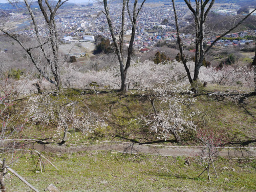 c0195439_22043765.jpg