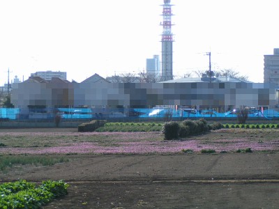 c0112172_02327.jpg