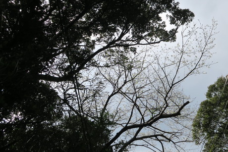 e0292172_20221685.jpg