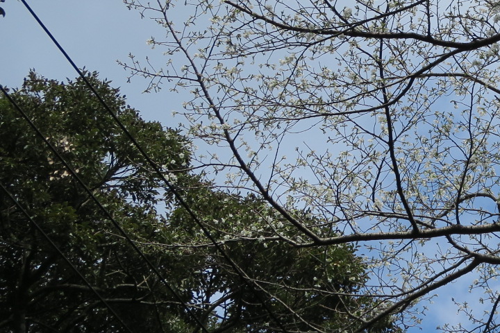 e0292172_20361710.jpg