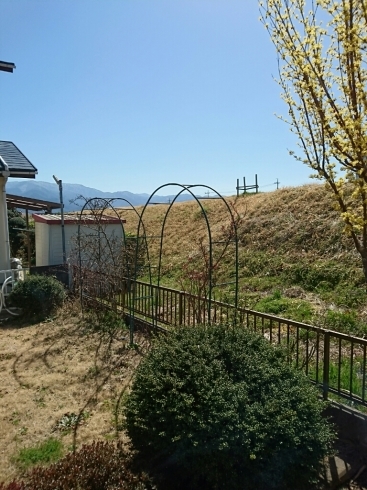 c0348784_13385270.jpg