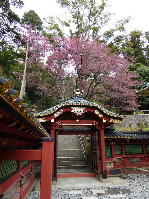 b0238886_11125953.jpg