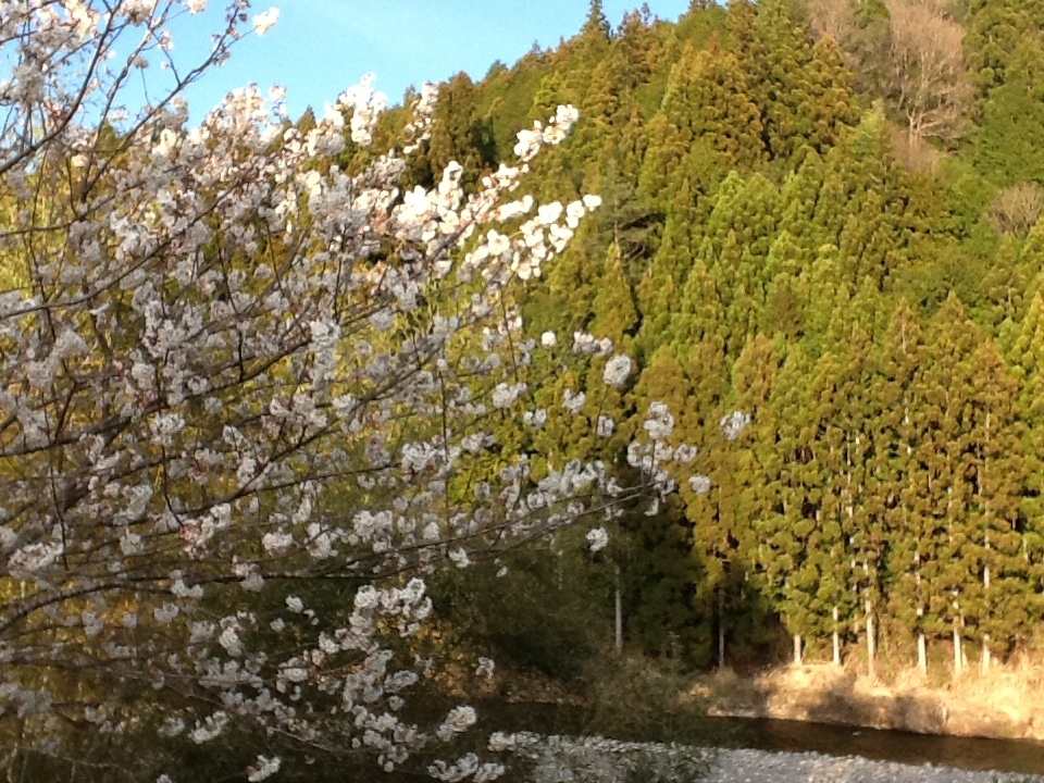 b0330288_19054064.jpeg