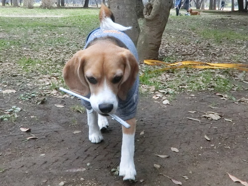 a0319693_8485180.jpg