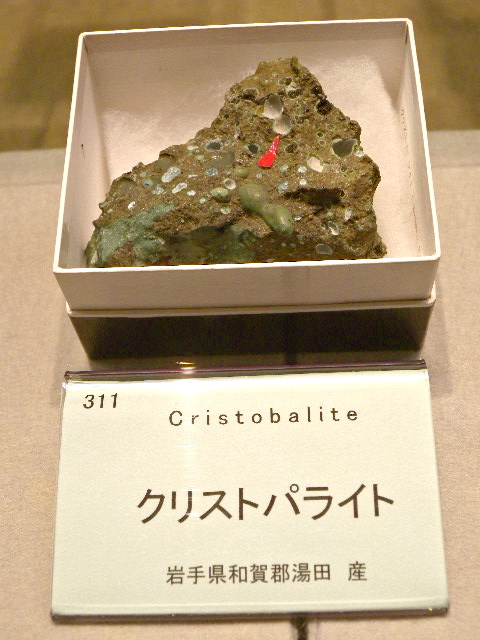 a0199297_17301761.jpg