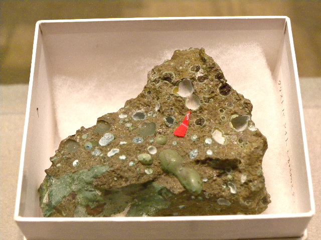 a0199297_1730644.jpg