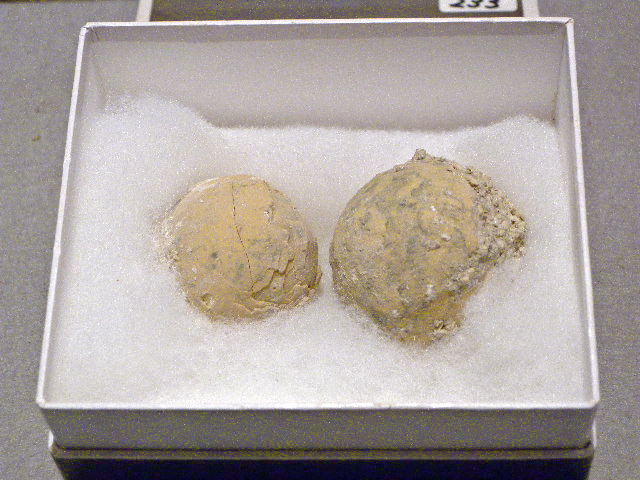 a0199297_17313793.jpg