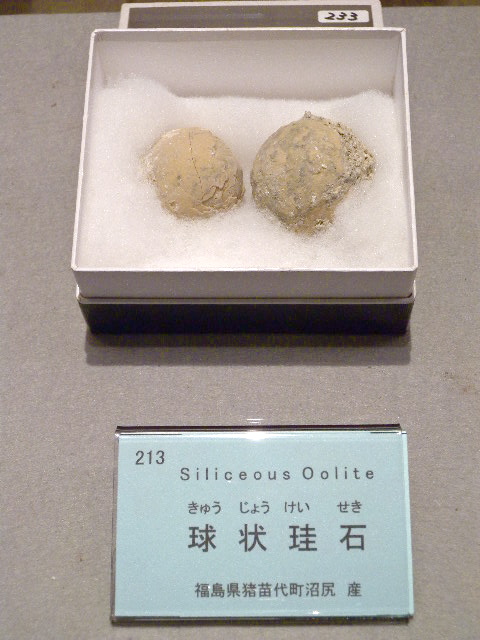 a0199297_17314862.jpg