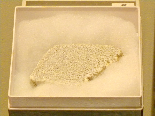 a0199297_1734596.jpg