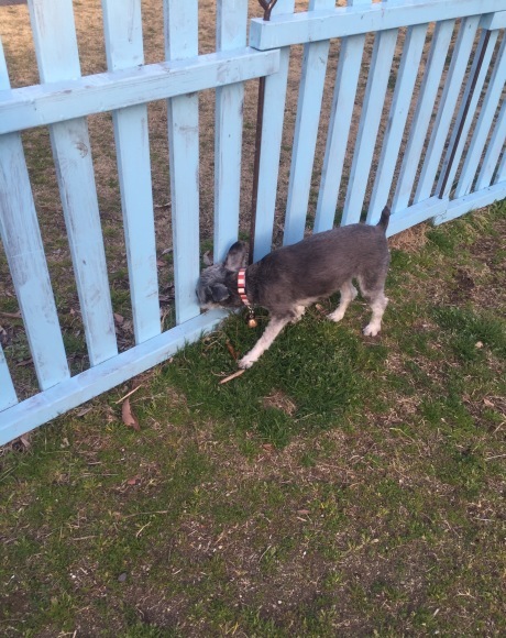 b0188998_23513274.jpeg