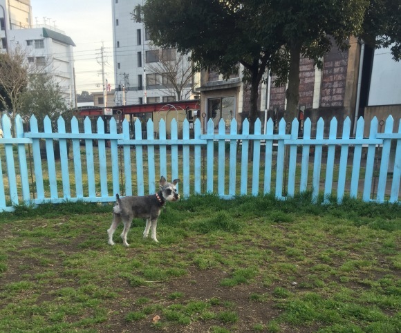 b0188998_23522591.jpeg