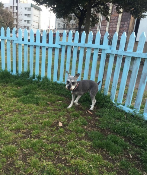 b0188998_23530327.jpeg