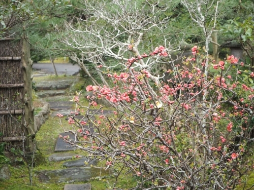 b0307008_21173469.jpg