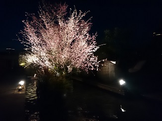 d0091909_925483.jpg