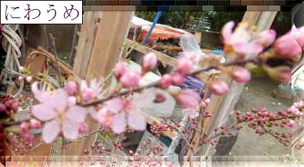 b0352112_19304866.jpg