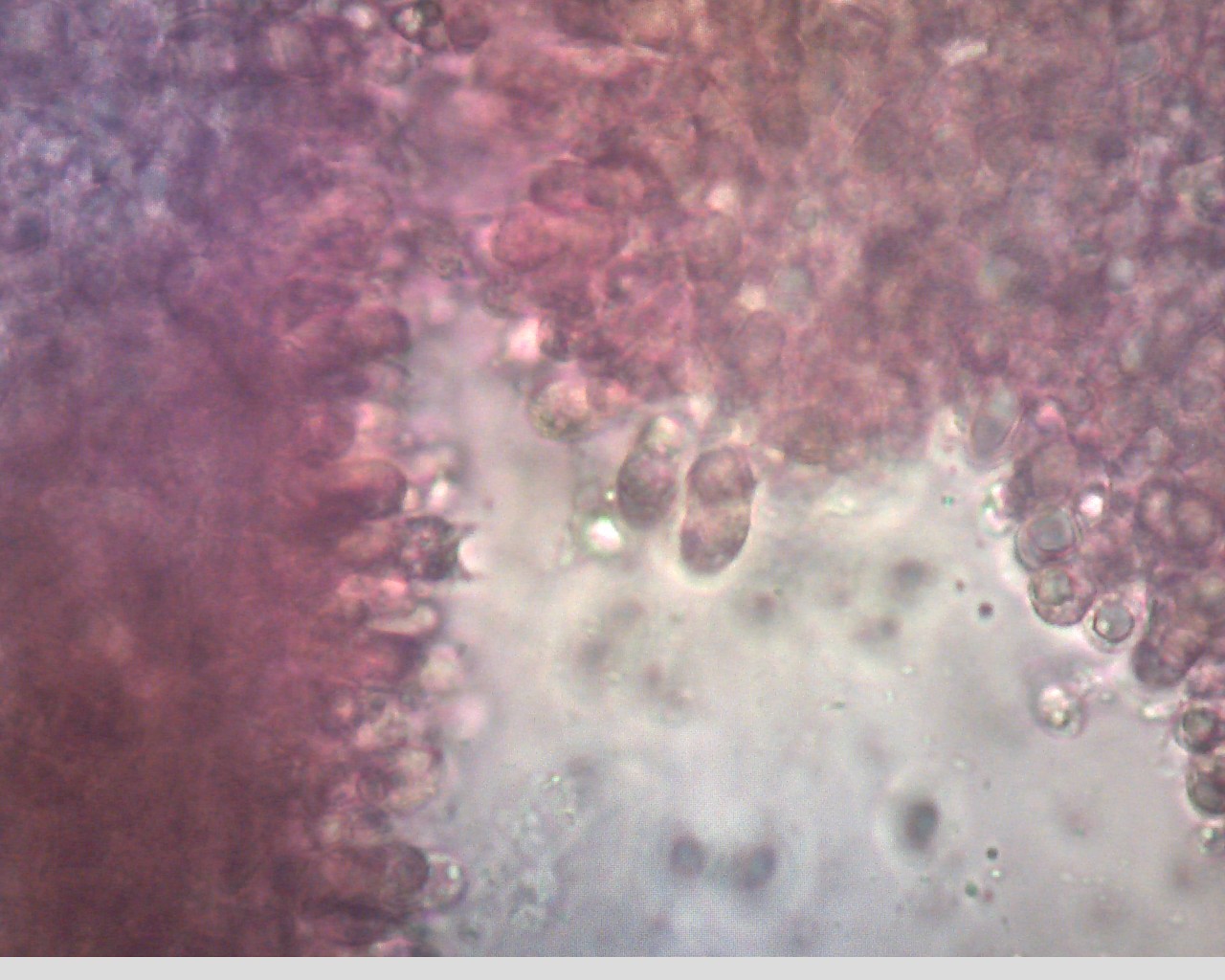 e0352220_23150401.jpg