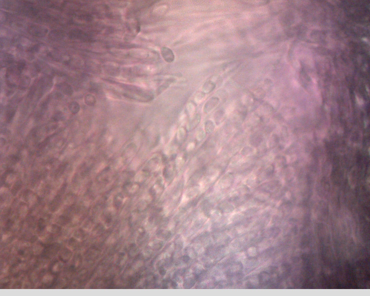 e0352220_23211679.jpg