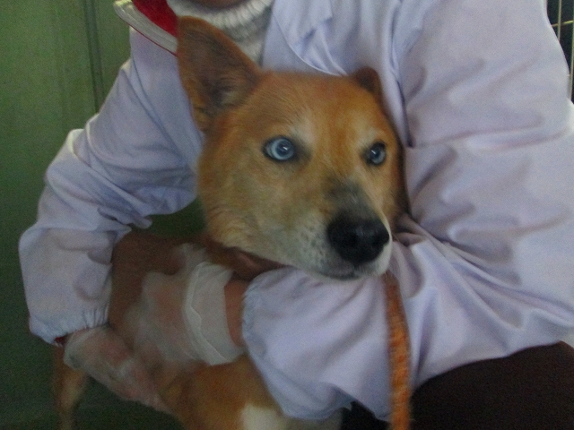 f0078320_04477.jpg