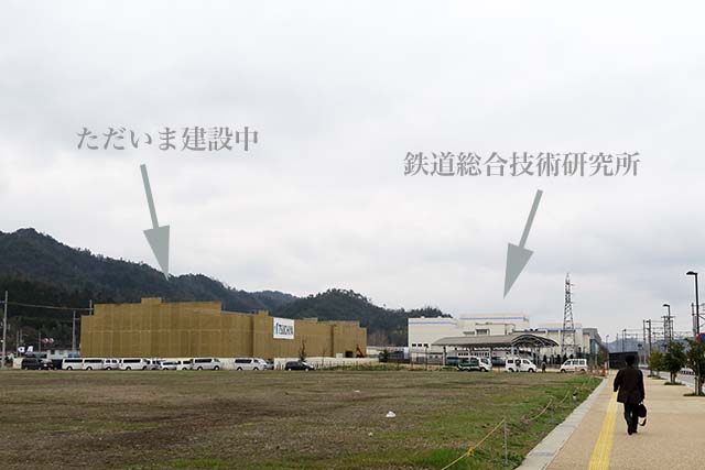 f0174521_1431086.jpg